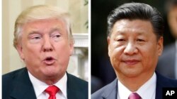 Tổng thống Hoa Kỳ Donald Trump (trái) và Chủ tịch Trung Quốc Tập Cận Bình. 